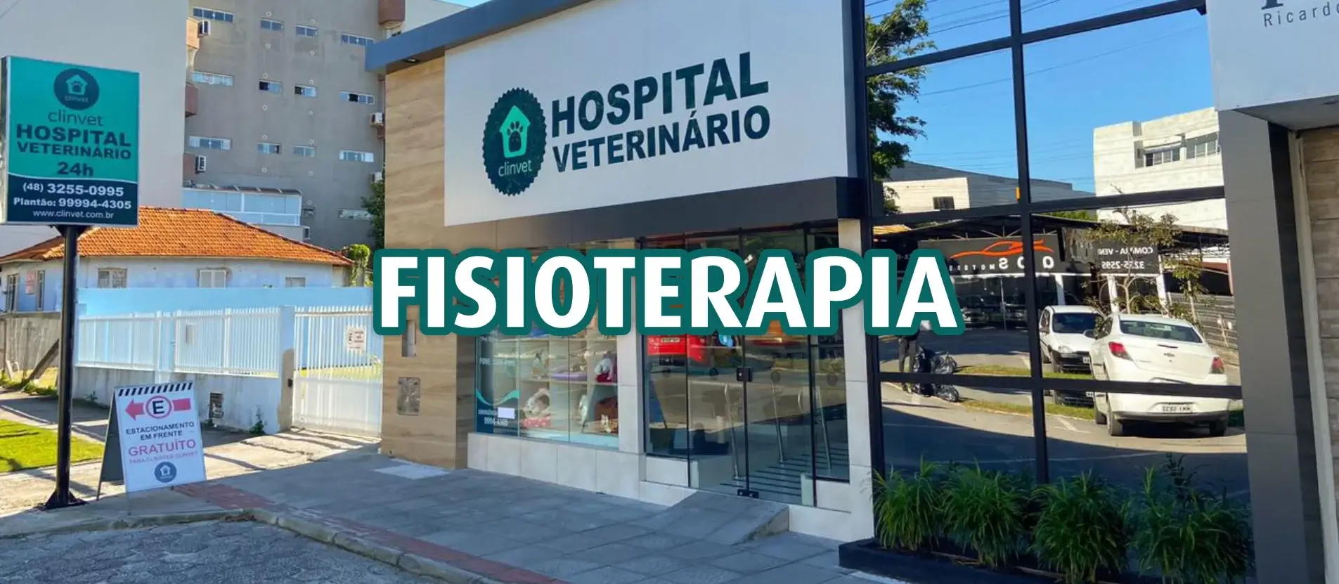 Fisioterapia - Clinvet - Hospital Veterinário 24 horas, Clínica Veterinária, Pet Shop e Dedetizadora de Imbituba