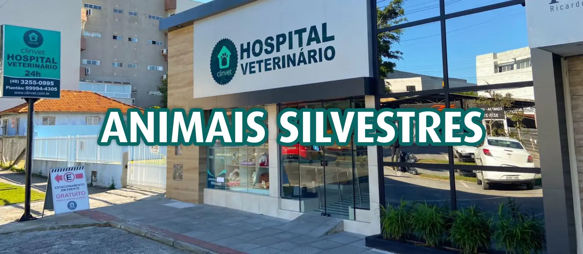 Animais Silvestres - Clinvet - Hospital Veterinário 24 horas, Clínica Veterinária, Pet Shop e Dedetizadora de Imbituba